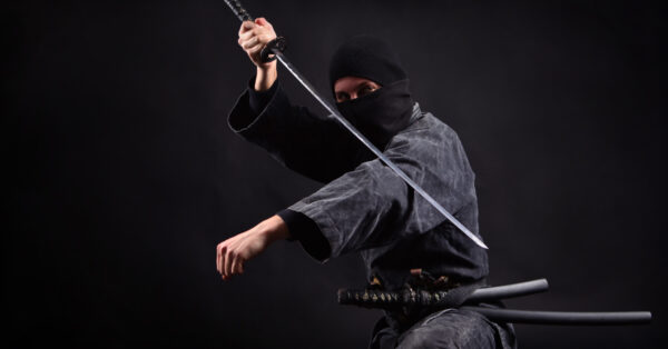 Los 9 pasos para convertirse en un ninja de la analítica web. Las empresas que quieran alcanzar sus objetivos digitales necesitarán un ninja de la analítica web en su equipo. Aquí te mostraremos cómo convertirte en uno.